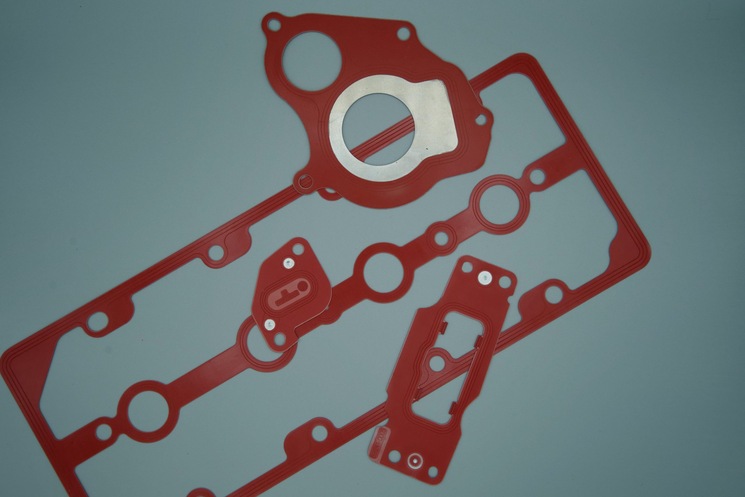 Fuel gasket